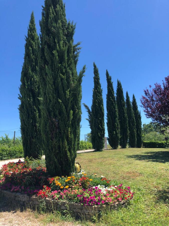 Апартаменты Il Gufo Del Chianti Монтеспертоли Экстерьер фото